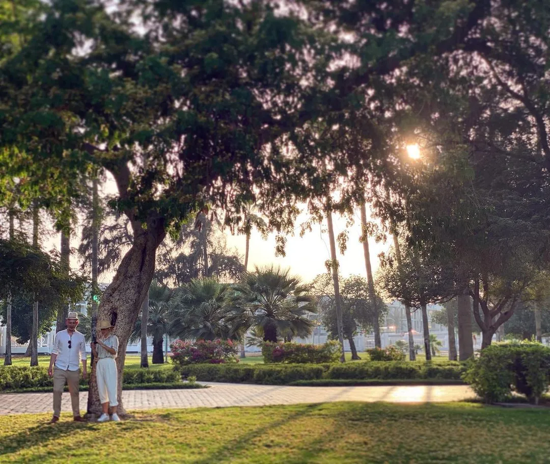 Two players talking strategy under a tree